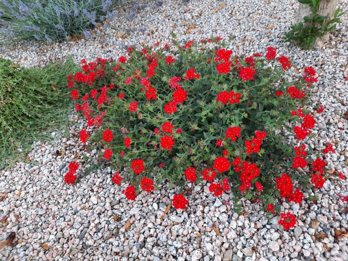אורוסיי Villa Impetrata Iun Q7090 מראה חיצוני תמונה